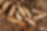 Wichita falls home inspection termite